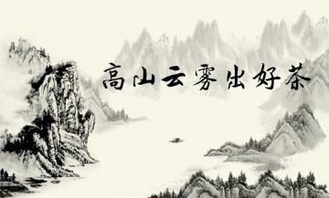 为什么说高山云雾出好茶？