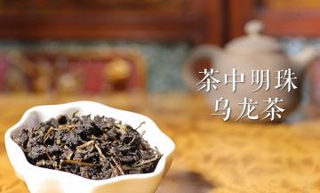 茶中“明珠”——乌龙茶