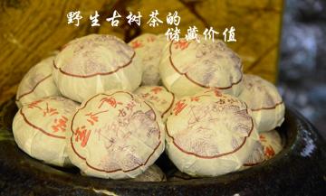 野生古树茶的储藏价值